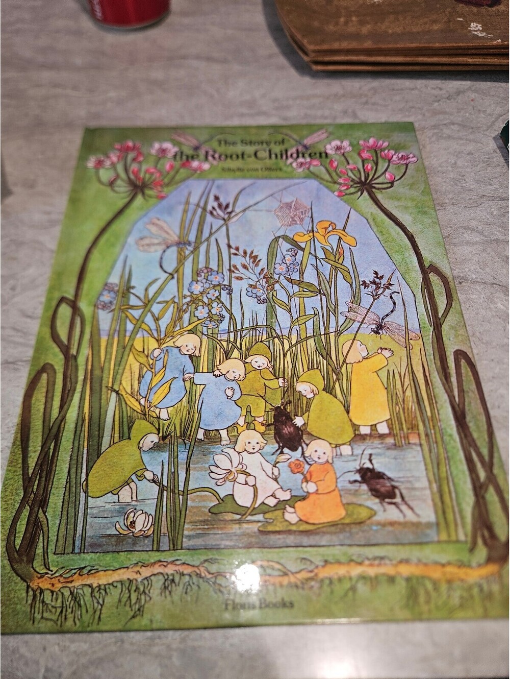The Story of The Root Children Illustrated Children's Book
